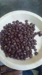 TAMARIND SEEDS TAMARIND SEEDS